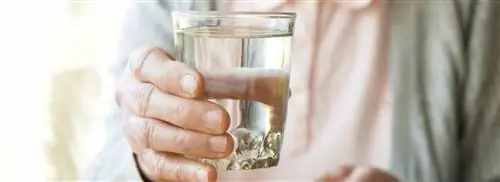 Вы можете: пить слишком много воды