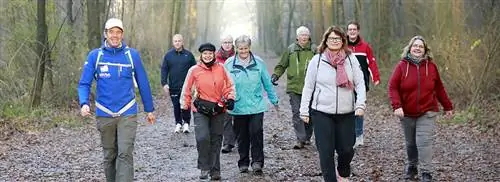 Не потому, что вам нужно, а потому, что это весело: ходьба с FitStap