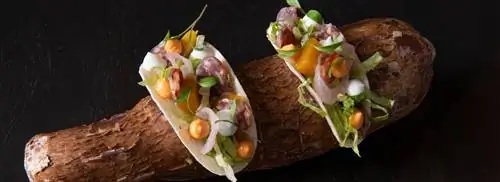 Taco от Joris Bruurs