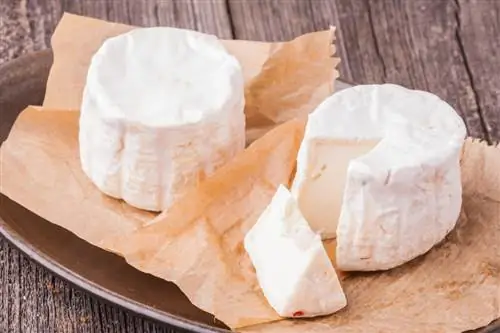 Козий сыр