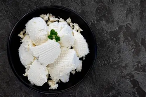 Рикотта ария-describedby=caption-attachment-87090