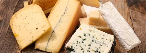 Эти сыры - самый полезный выбор