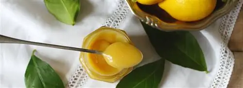 Лимонный пирог с безе от Дэнни Янсена