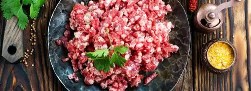 Мясная палочка от Роберта ван Бекховена