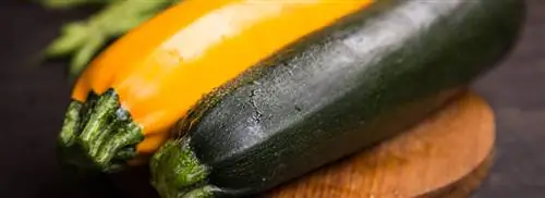 Petits farcis Карин Луитен