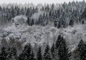 снег в германии