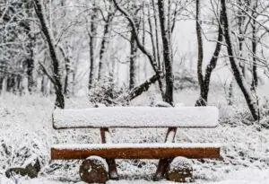 снег в германии