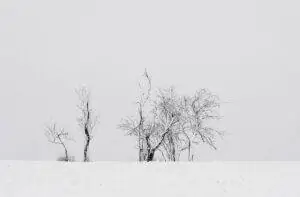 снег в германии