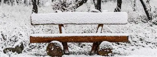 Первый европейский снег на фото’s