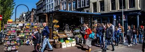 Цветочный рынок тюльпанов в Амстердаме не цветет: плохая реклама национального символа