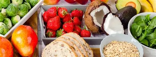 Полезные свойства клетчатки и как получать ее в достаточном количестве