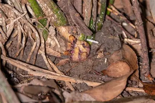 квартальный завод