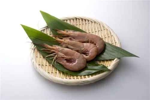 квартальный завод