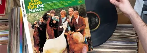 Рекордная стоимость: звуки домашних животных от The Beach Boys