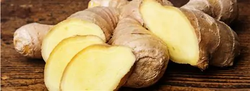 10 полезных свойств имбиря