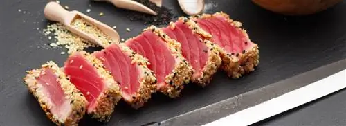 Tuna Tataki от Барта ван Олфена