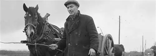 Январь 1945 г.: принудительная эвакуация более 70 000 лимбургцев