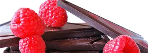 Surprisebol от Роберта ван Бекховена