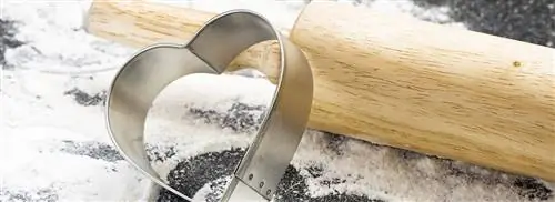Любовное сердце Анук Глаудеманс
