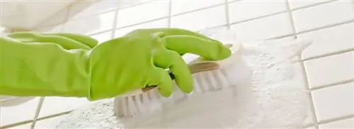 Как удалить плесень с сырых помещений