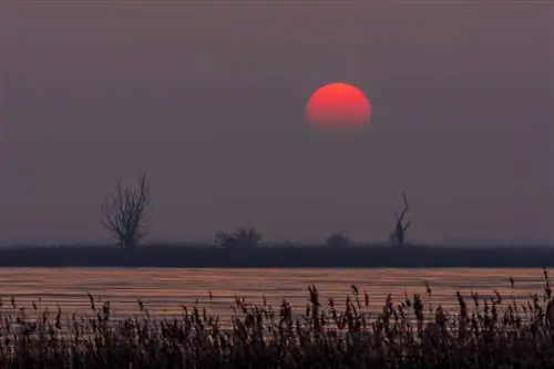 Зимние прогулки