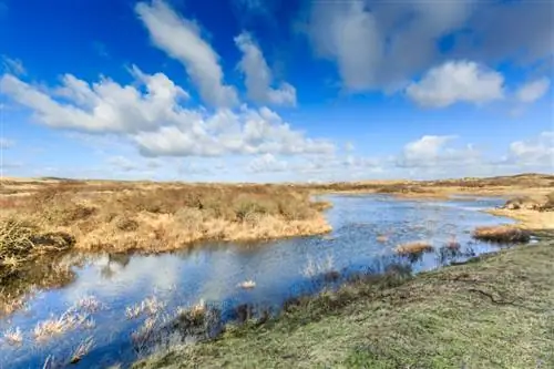 Зимние прогулки