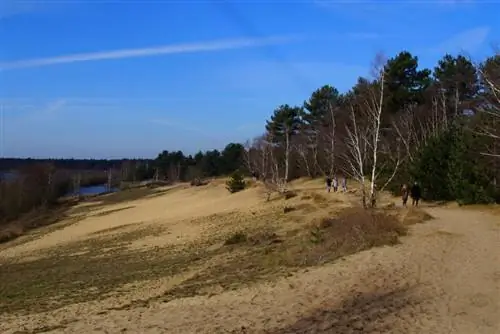 Зимние прогулки