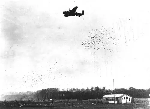 Голодная зимняя ария-describedby=caption-attachment-91365