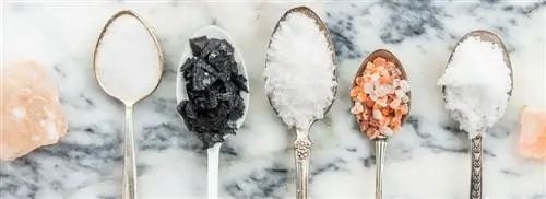 Есть ли разница между поваренной солью и морской солью?