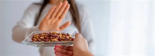Почему так опасаются аллергии на арахис?
