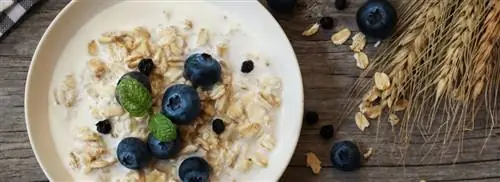 Нужно сначала сварить овсянку?