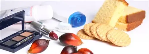 Пальмовое масло во всем, спорно, но насколько на самом деле вреден этот продукт?