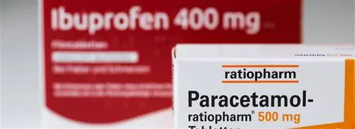 Коронавирус: работают ли парацетамол и ибупрофен?