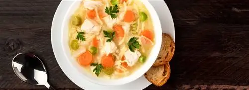Насколько полезен куриный суп?