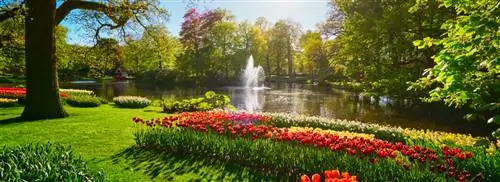 Новые изображения в MAX by Keukenhof часть 2