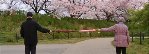 Обновление: это разрешено и не во время короны