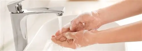 Коронавирус: предотвратите сухость рук, часто мойте руки