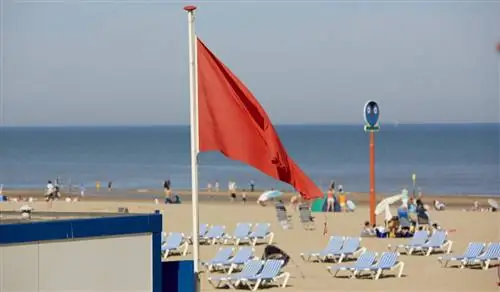 морская искра