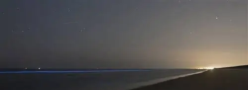 Возможны природные явления морской искры и серебристые облака в благоприятную погоду