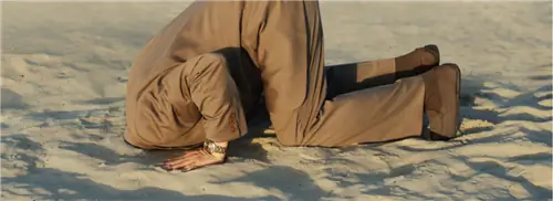 Почему мы прячем голову в песок, когда дела идут плохо?