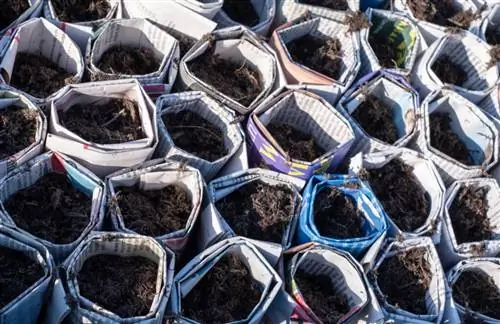 лотки для семян