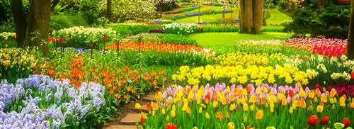 Посетите музей или зоопарк онлайн: все это возможно во время короны