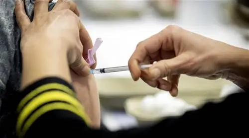 Как насчет? Почему вакцинированные люди должны получить 2 прививки от короны?