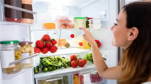 Whole Holland Здоровый ретроспективный взгляд: все советы от De FridgeCoach подряд