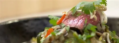 Суп с лапшой и полосками стейка