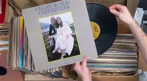 Рекордная стоимость: Close To You от The Carpenters