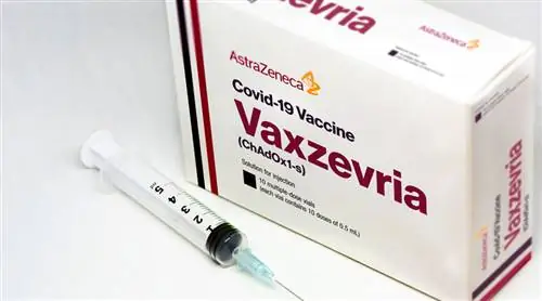 Вакцина против коронавируса AstraZeneca из-за смены названия теперь известна как Vaxzevria