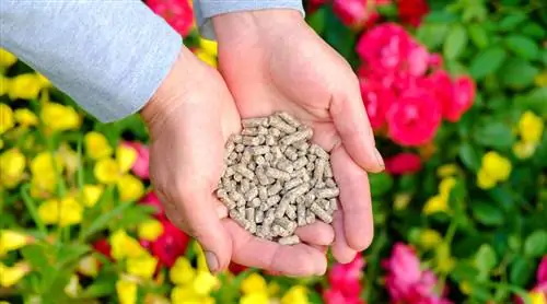 Удобрение огорода: как и когда это делать?