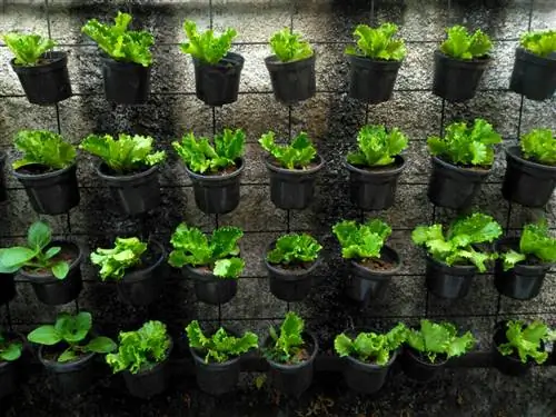 огород балкон висит