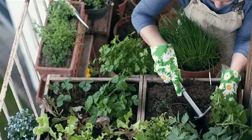 Огород на балконе, просмотрите возможности и подходящие растения